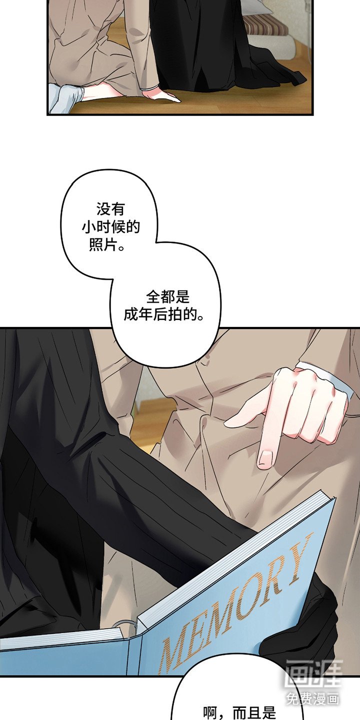 第13章：照片