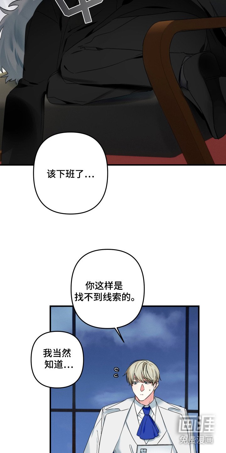 第14章：真的吗
