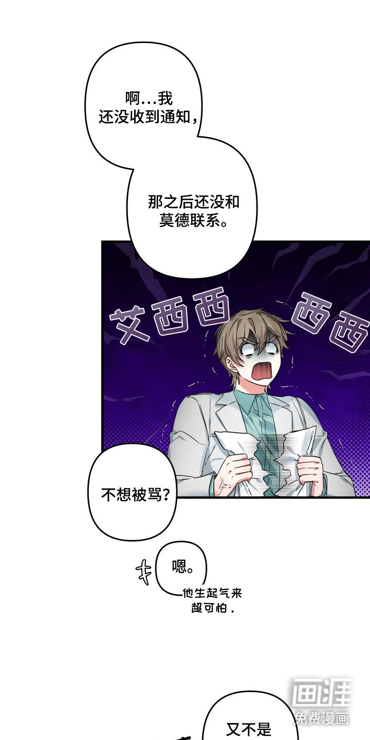 第15章：好像