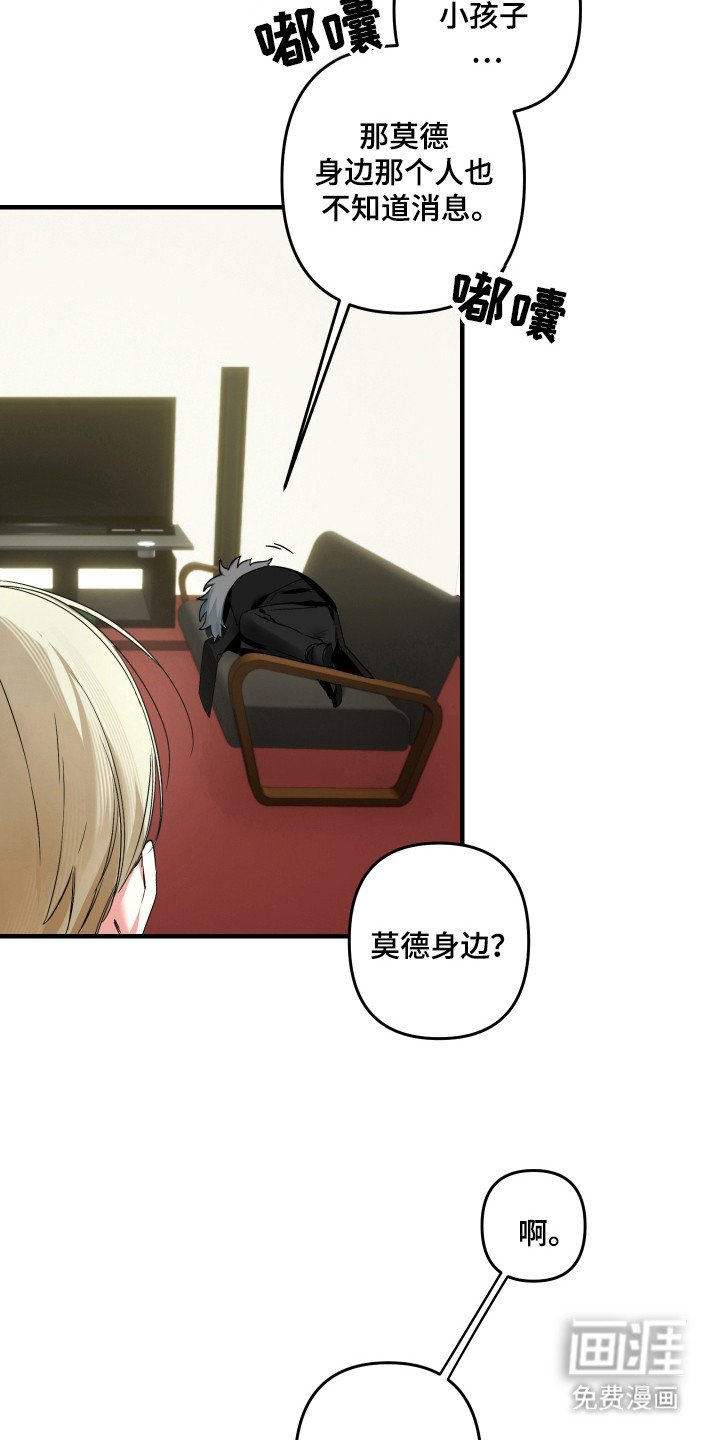 第15章：好像