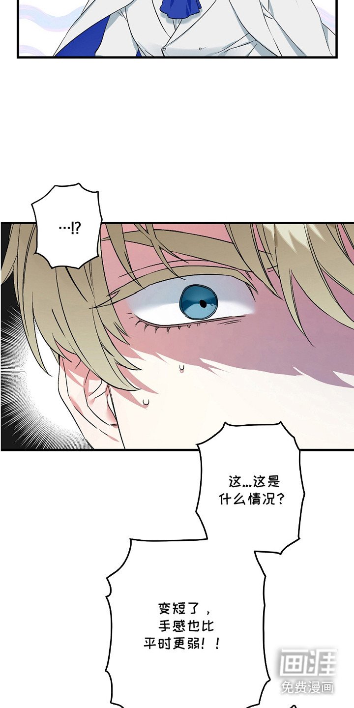 第3章：无效化