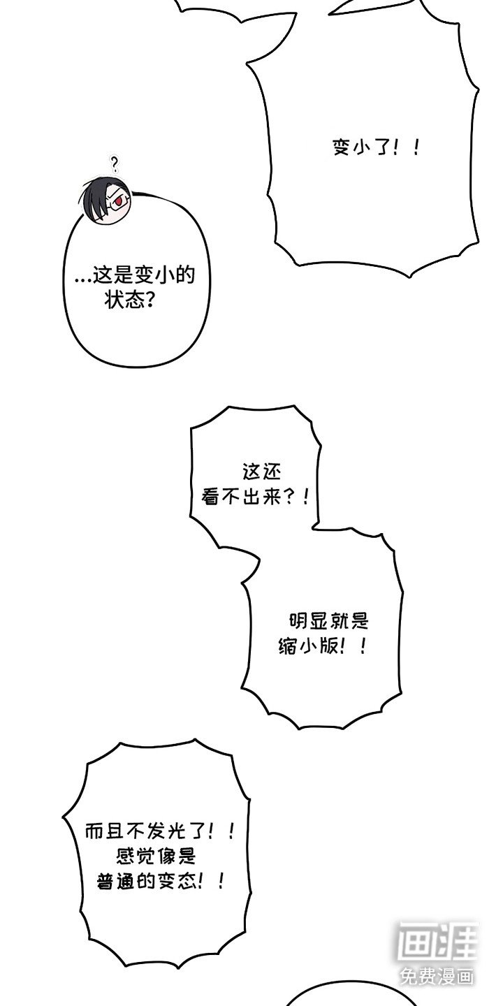 第3章：无效化