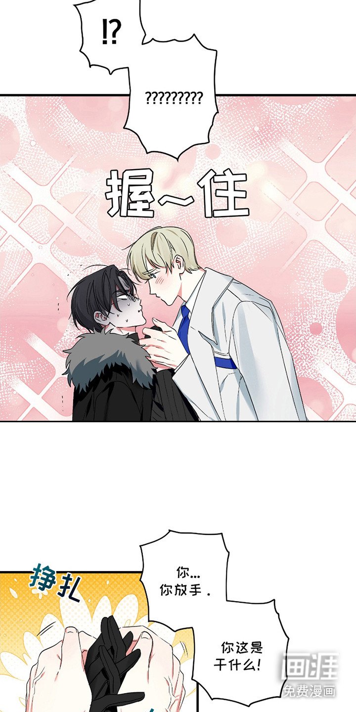 第3章：无效化