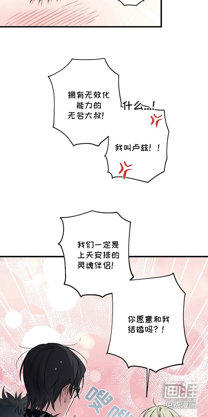 第3章：无效化