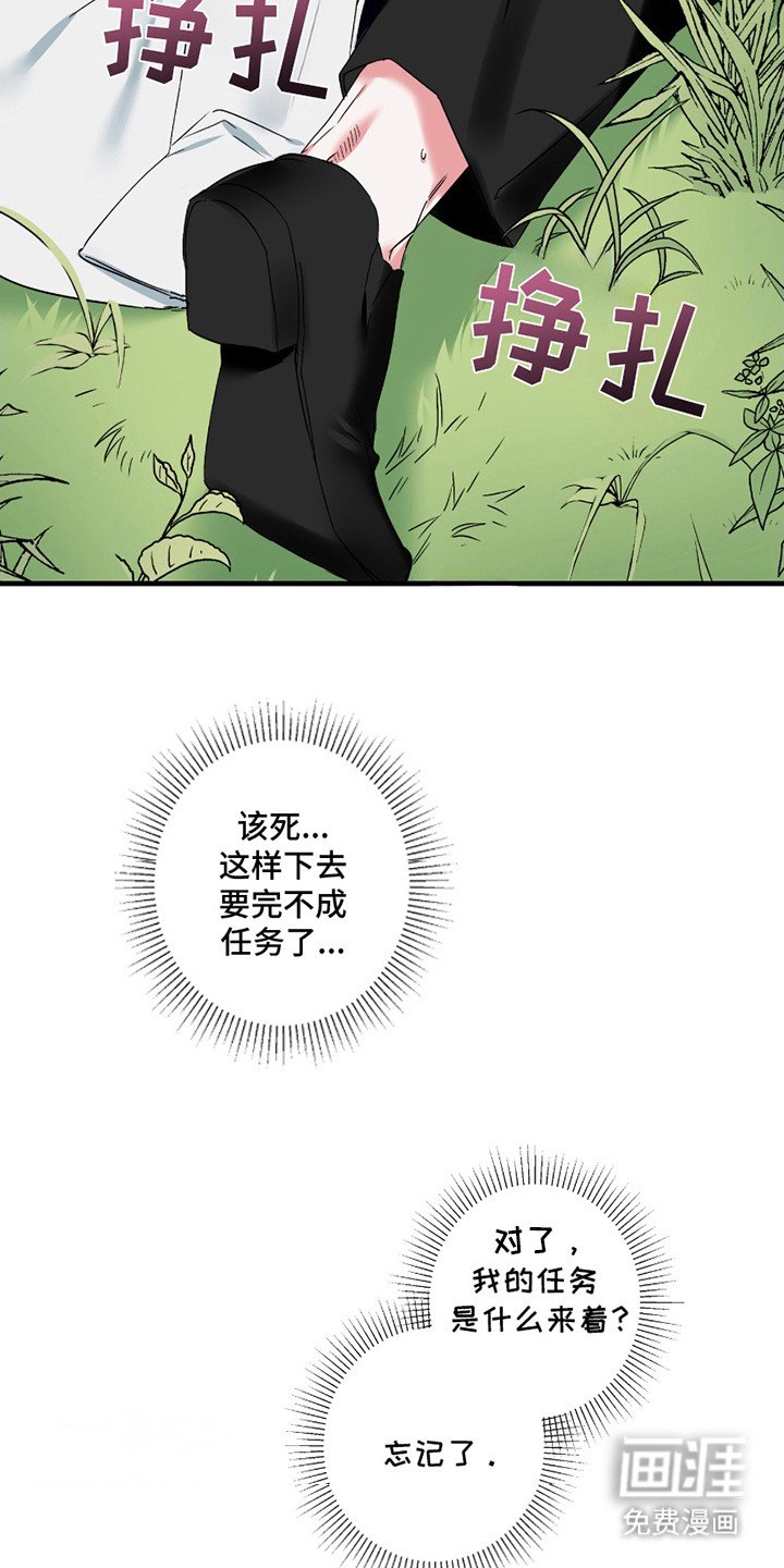 第4章：头疼