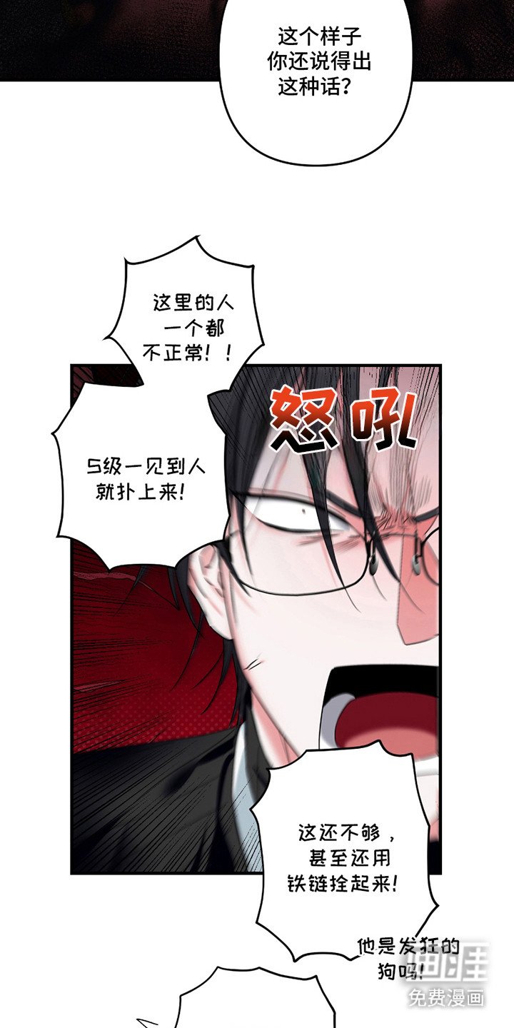 第6章：搭档