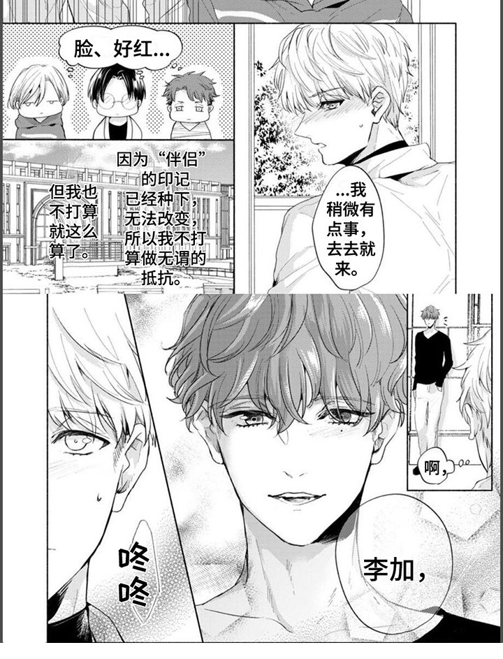 第11章：朋友