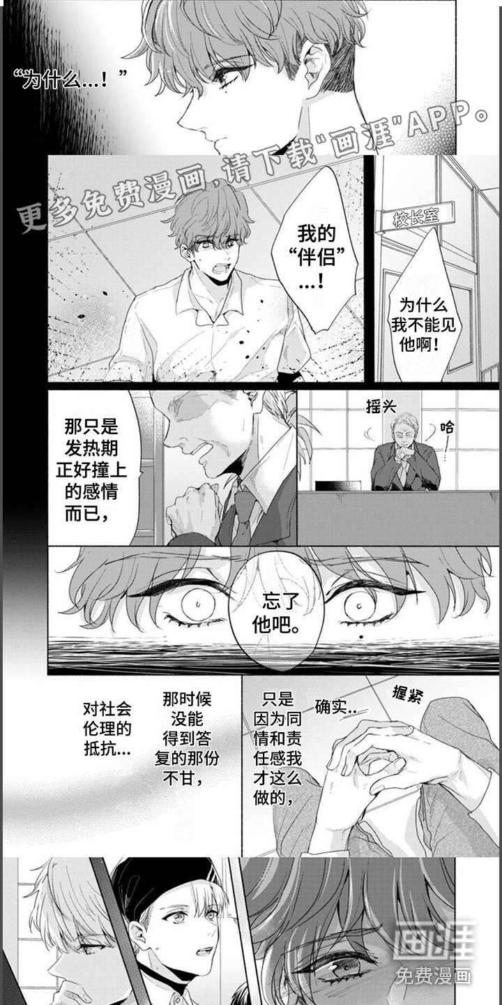 第13章：心意 