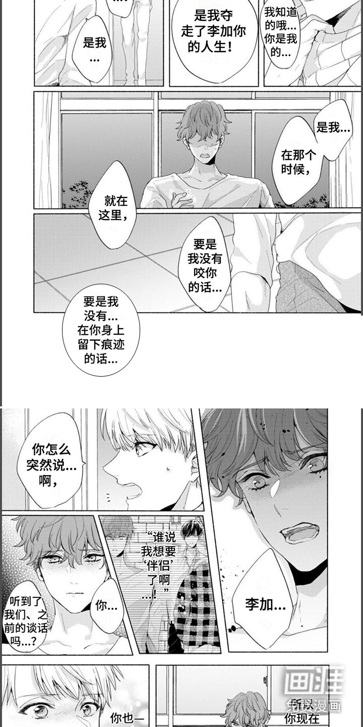 第13章：心意 