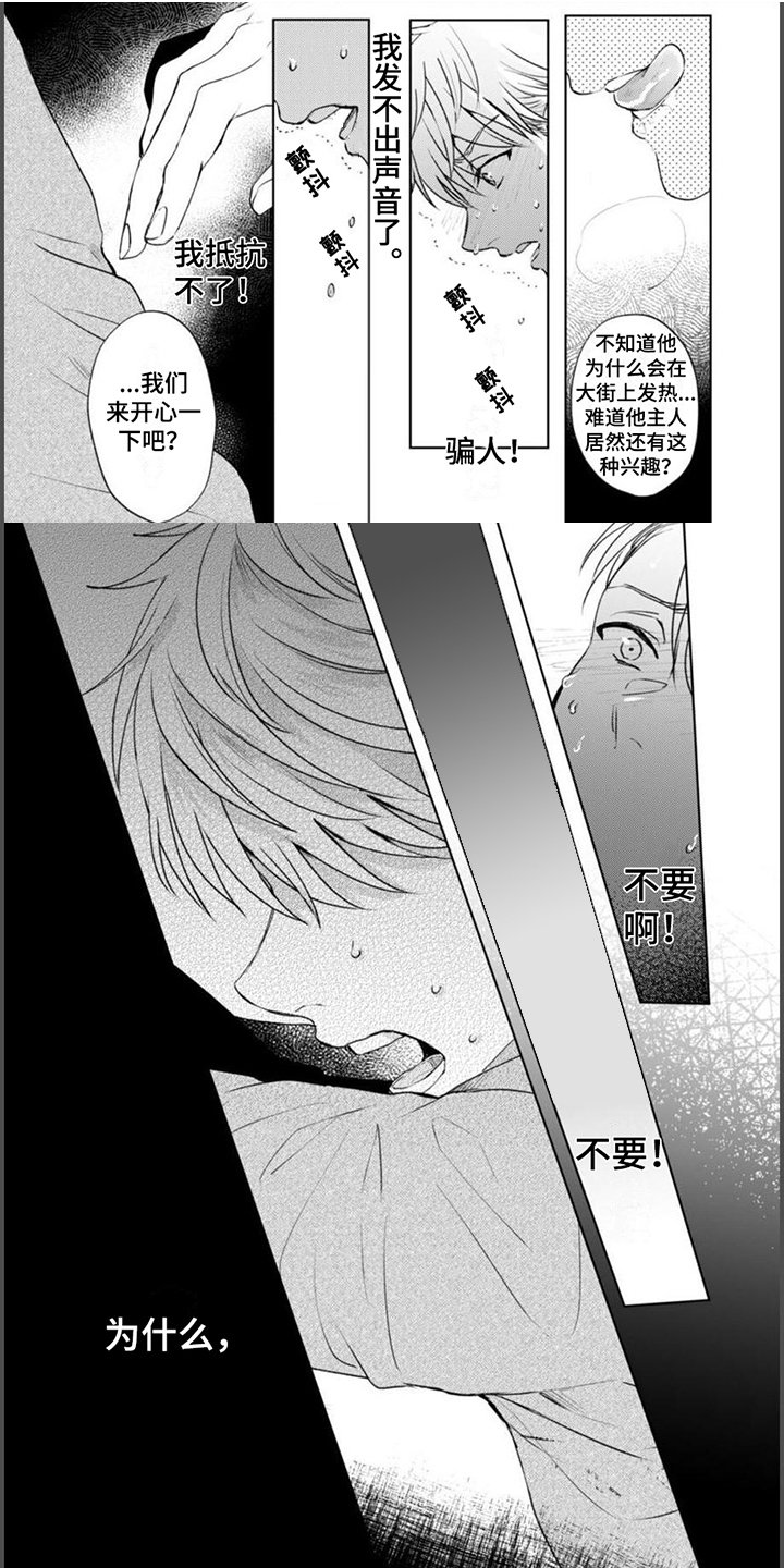 第3章：伴侣