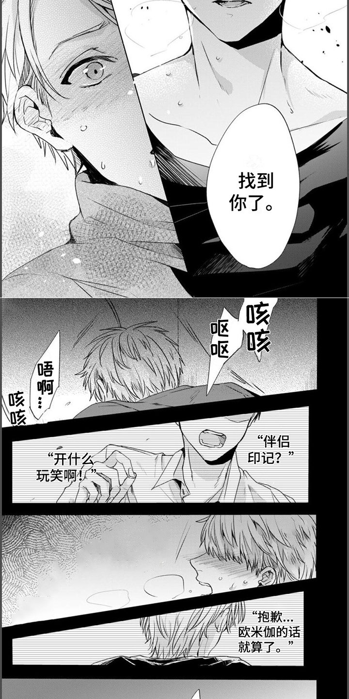 第3章：伴侣