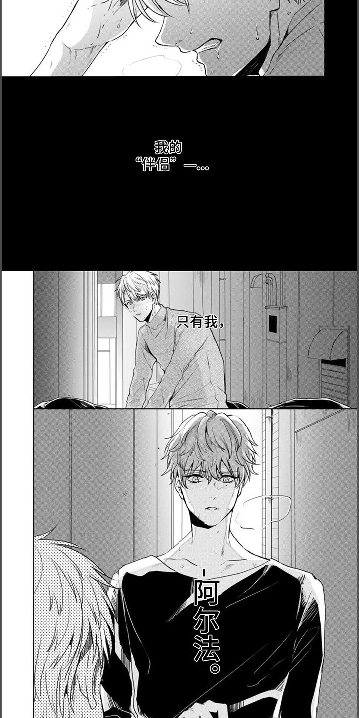 第3章：伴侣