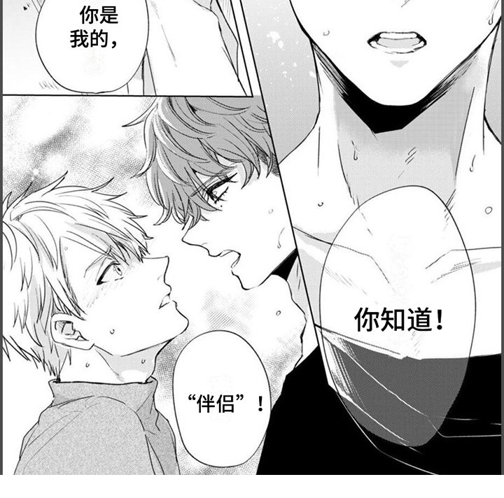 第3章：伴侣