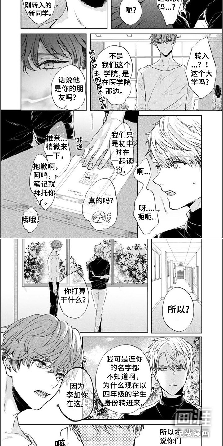 第4章：虚假的心