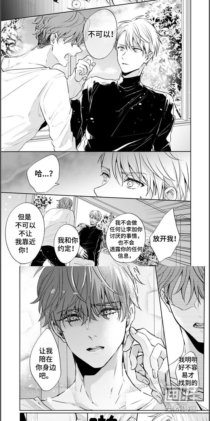 第4章：虚假的心