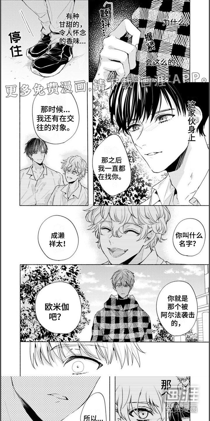 第8章：道歉