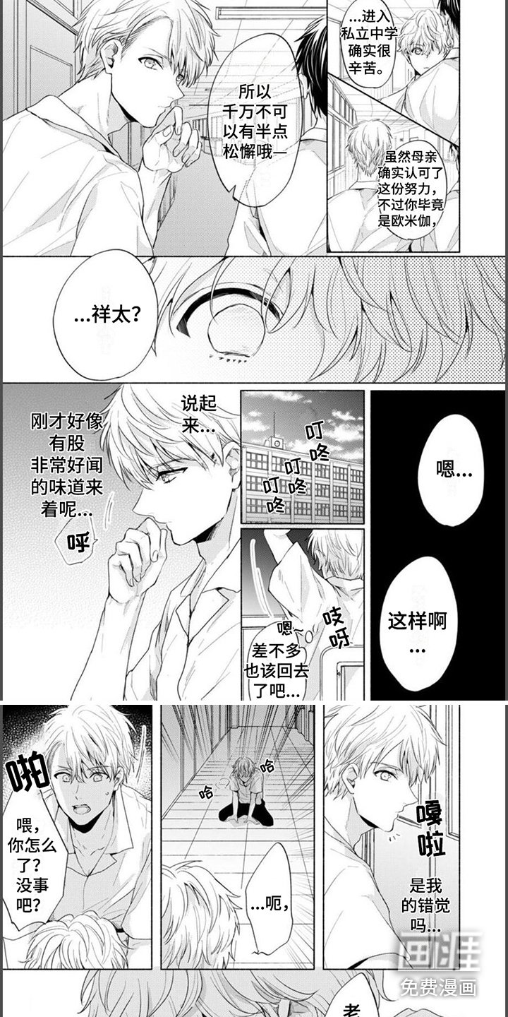 第8章：道歉